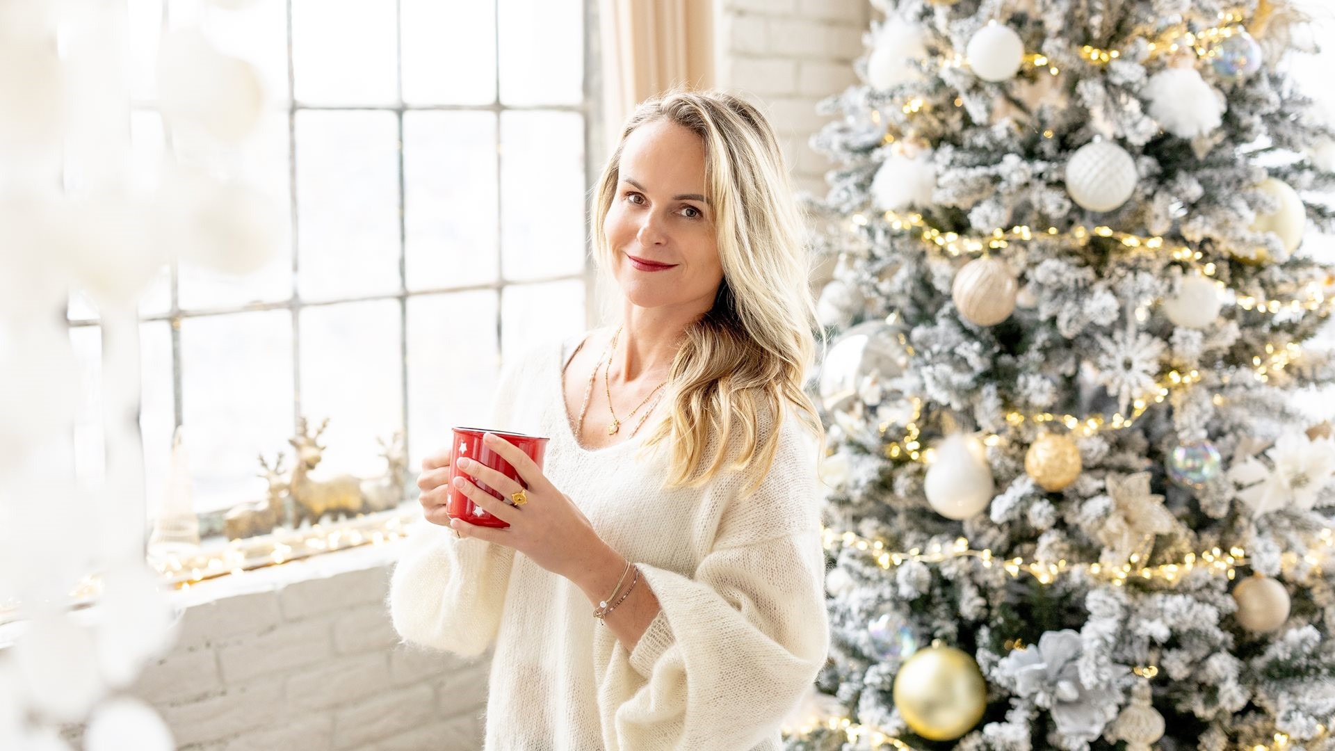 Přejít na článek