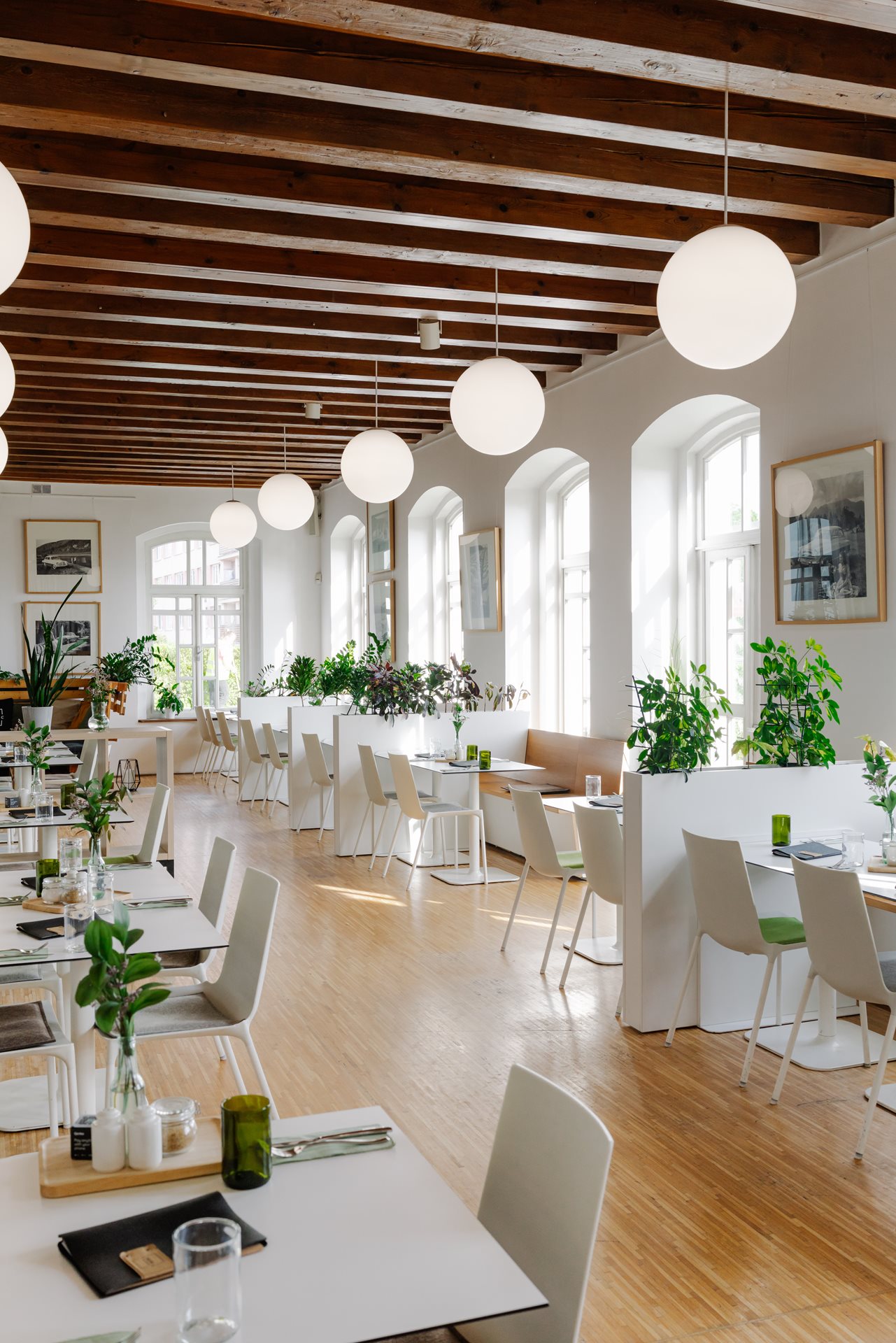 Obrázek z galerie