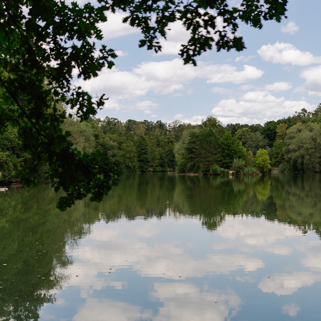 Celý příběh o&nbsp;Štampachu