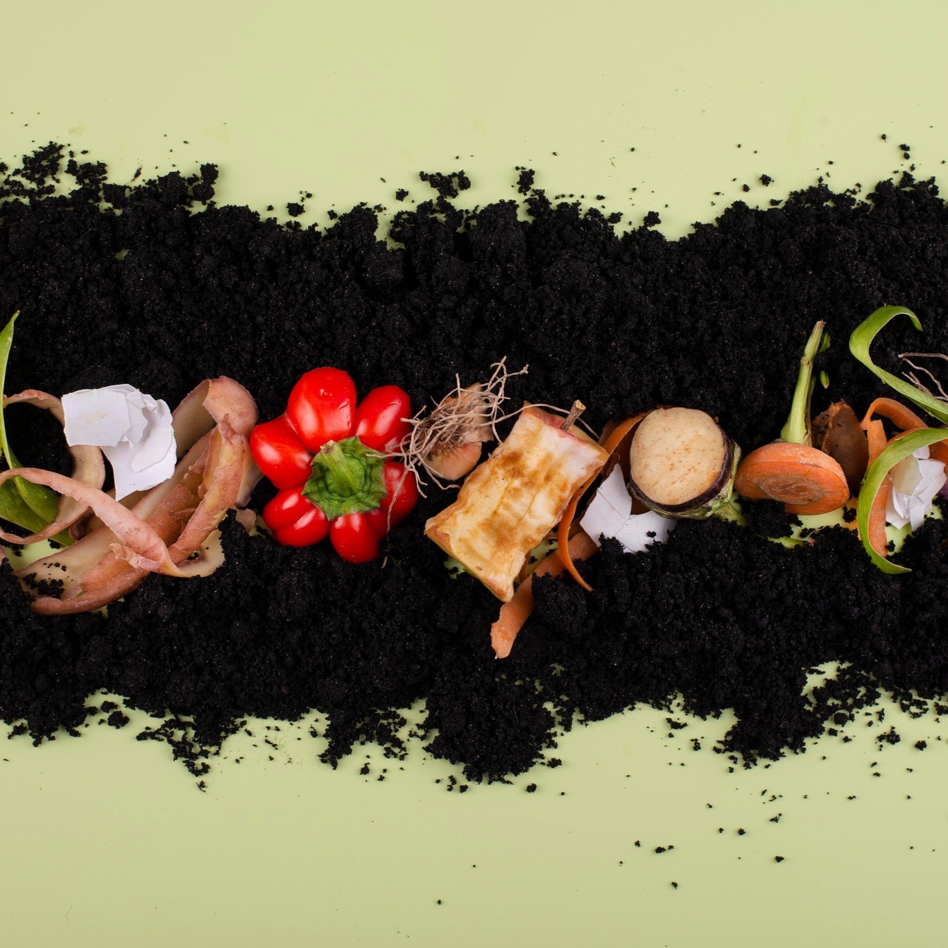 Přejít na článek